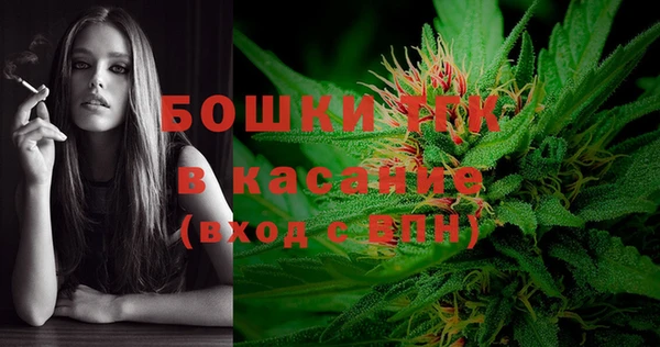 гашик Мегион