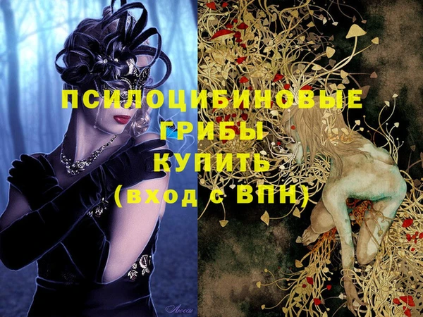 гашик Мегион
