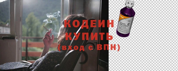 гашик Мегион