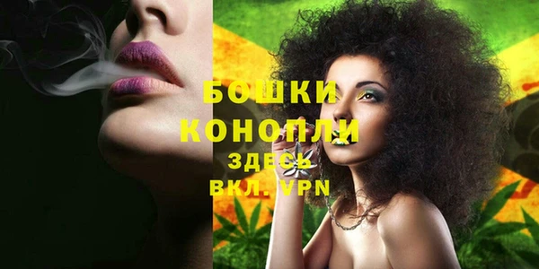 гашик Мегион