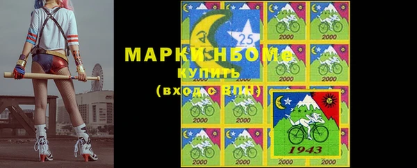 гашик Мегион