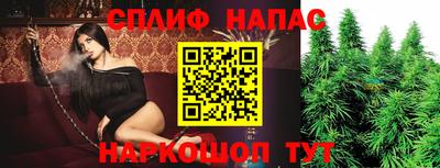 молекула духа Камышлов