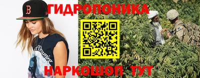 молекула духа Камышлов