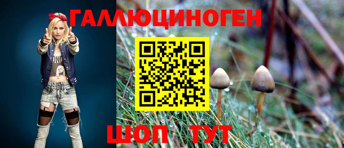 сколько стоит  Вход с VPN  Набережные Челны  Псилоцибиновые грибы Psilocybe 